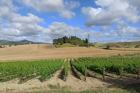 PRIVAT TUR "Ramble through the Rolling Hills Of Chianti"+ frokost og vinsmagning