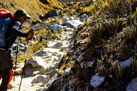 Salkantay Trek 4 Days from Cusco