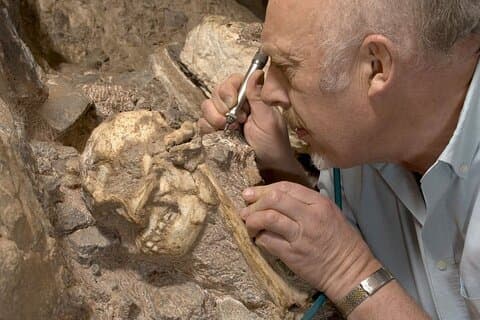 Tour dell'evoluzione dell'umanità