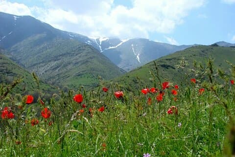 Nurata Mountain 3 dagers privat landlig tur fra Samarkand eller Bukhara
