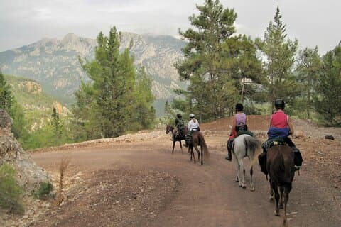 Horse Riding Tour in Bodrum with Hotel Pick Up