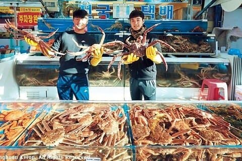 Visite privée d'une journée à Busan