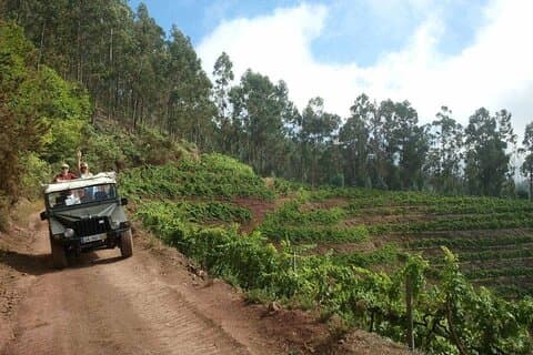 4x4 Safari Halvdag Poncha, berg, vingårdar och Cabo Girão Liten grupp