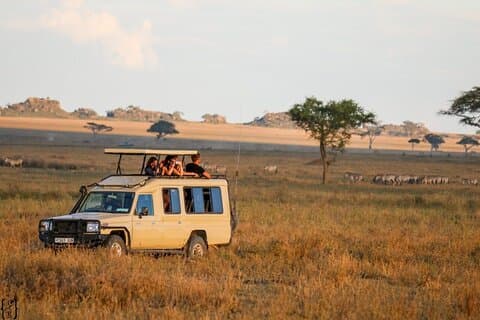 6-dagars oförglömlig rundtur i Tanzania