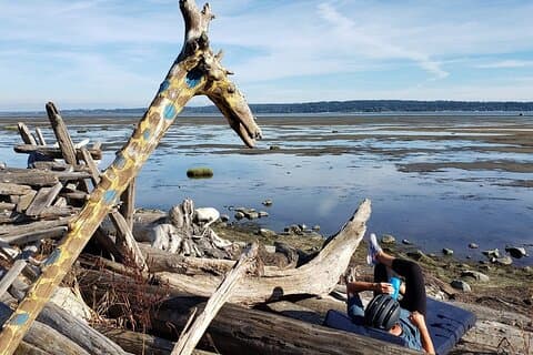 Mud Bay Park Bicycle Rental