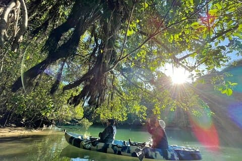 Kayak tra le mangrovie per godersi la natura a Okinawa