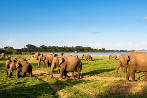 Privat flerdages udendørs tur i Sri Lanka