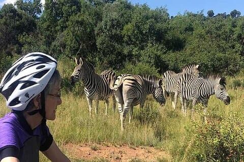Demi-journée de vélo électrique avec observation de la faune à Pretoria