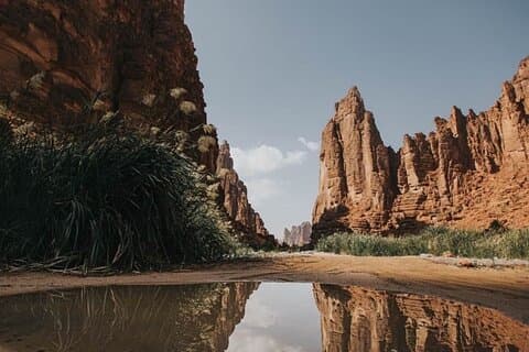 Wadi Al Disah-dagtour met hotelovername