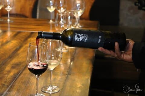 Visite et dégustation de vins à Vinícola Tierra de Luz