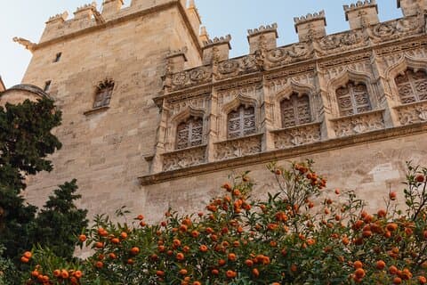 Tour privado a pie de 3 horas en la ciudad de Valencia