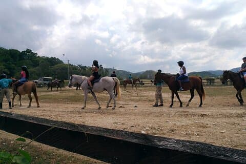 Privat transport inom Montego Bay Area