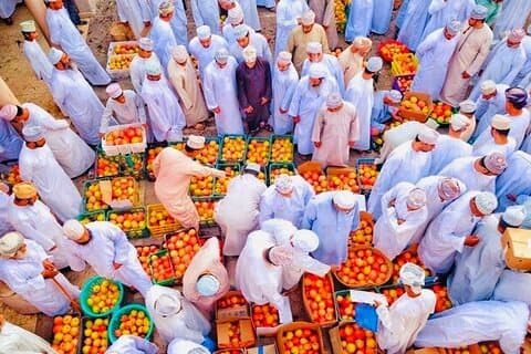 5-dages privat Oman-tur fra Muscat
