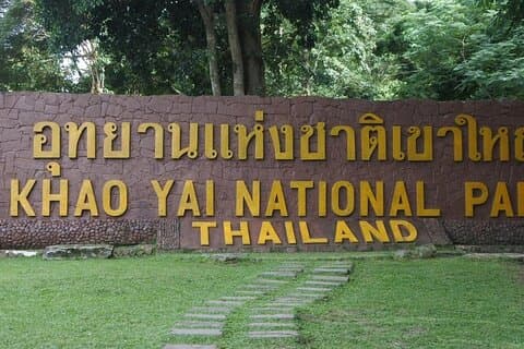 Excursion d'une journée dans la jungle du parc national de Khao Yai au départ de Bangkok