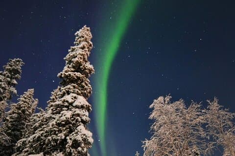 Northern Lights jagt med den rigtige julemanden Rovaniemi