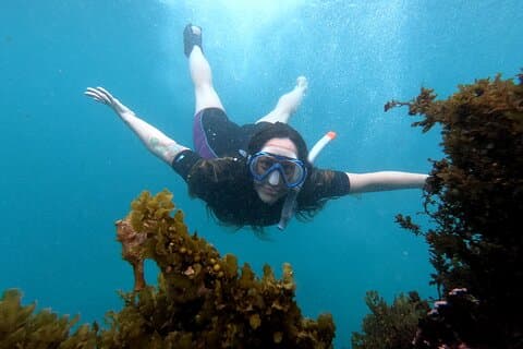 5 dagers utflukt til Galapagosøyene med snorkel og vulkaner