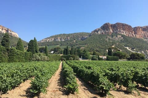 Tour de medio día en Bandol y Cassis desde Aix en Provence