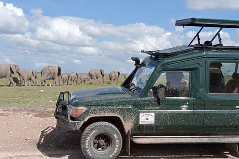 6 dager Amboseli, Lake Naivasha og Masai Mara Safari