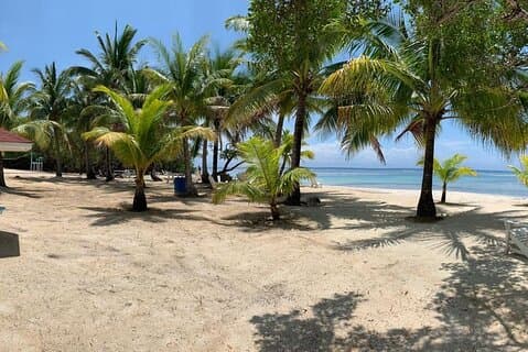 Cruise Ship Tour Package from Roatan