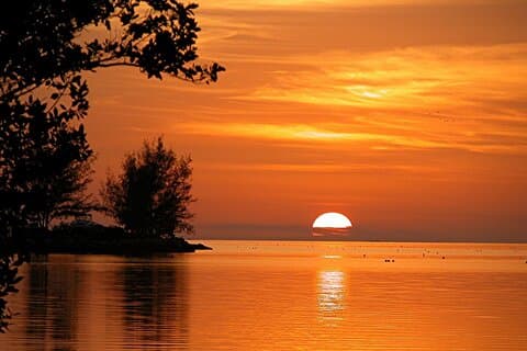 Key West: bar completo Sunset Sail, musica dal vivo, cena e snorkeling mattutino