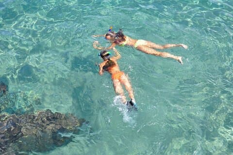 Dolphin Watch, Snorkel, Open Bar & 1 Day Hop-On Hop-Off