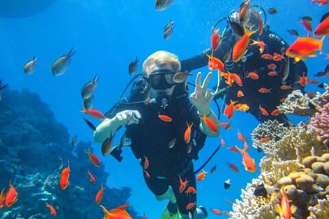 Snorkeling em Ras Mohamed em Sharm El Sheikh