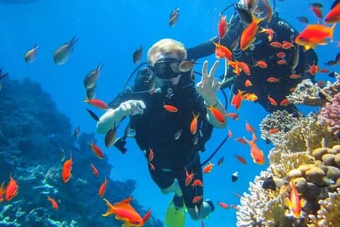 Snorkeling at Ras Mohamed in Sharm El Sheikh