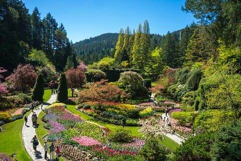 Visita turística a los Jardines Butchart y Victoria desde Vancouver