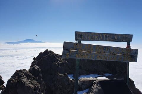 4 dagars Mount Meru Trekking i Tanzania