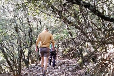 Wandelen in het Spaanse dennenbos van Escaleretas met ophaalservice bij het hotel