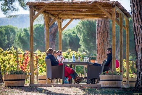 Tour de Bodega Ribera del Duero y Cata de Vinos Cerca de Valladolid