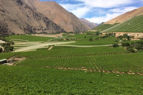 Grand Tour Elqui Valley Cultural Treasures Mountains of Chile