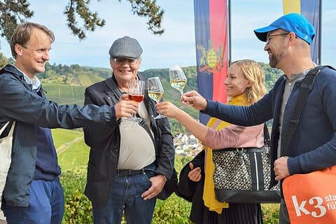 Caminata por los viñedos a lo largo de una de las rutas de senderismo más hermosas de Stuttgart con degustación de vinos