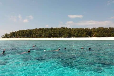 Halv dag Zanzibar Mnemba Atoll Marine Reserve Snorkling Tour