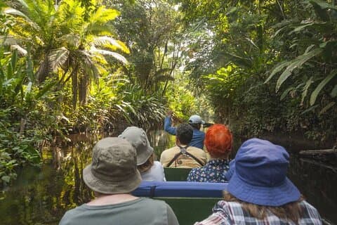 4-dages Amazon Jungle Tour fra Iquitos