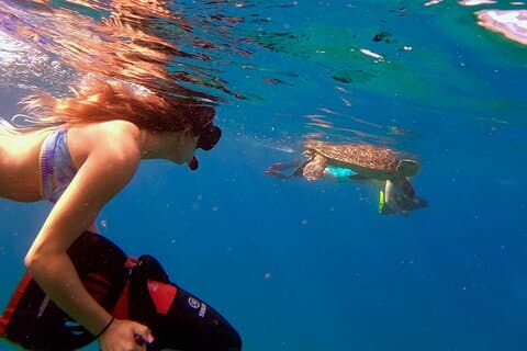 Turtle Town Underwater Scooter Snorkeling Tour with Photos+Video