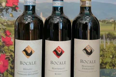 Verkostung Auswahl von 3 Weinen in Montefalco