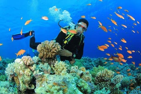 Snorkeling a Ras Mohamed a Sharm El Sheikh