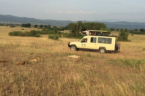 5 días de trekking de gorilas y chimpancés en Uganda