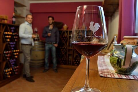 4 vine og 2 olivenoliesmagning i Chianti-vingård med rundvisning