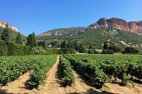 Excursión a la costa de Marsella - Tour de día completo en Provence