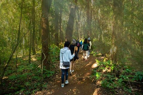 El Pha Dok Siew Trekking de Doi Inthanon