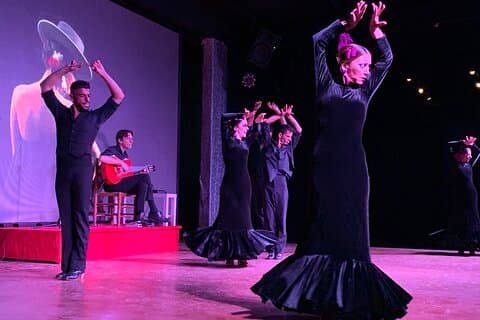 Espectáculo de Flamenco en el teatro Coliseo de San Miguel