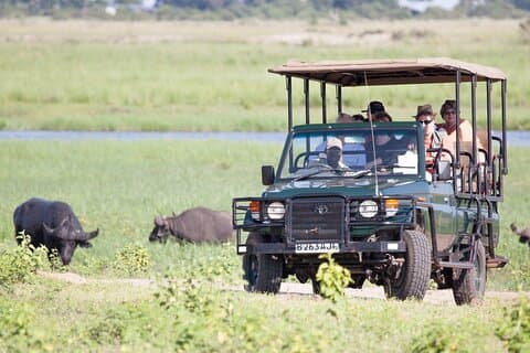 Safari Boat Cruise & Game Drive in Chobe National Park