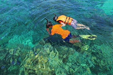 Voyagez À BORD D'UNE JEEP et visitez les lieux les plus emblématiques de Cozumel !