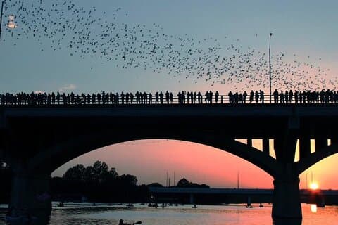 Begeleide Sunset Bat-kajaktocht in Austin