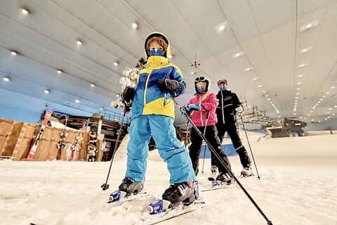 Biglietto d'ingresso allo Ski Dubai con trasferimento