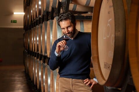 Aranda del Duero : Enstaka vingårdsbesök & vinprovning