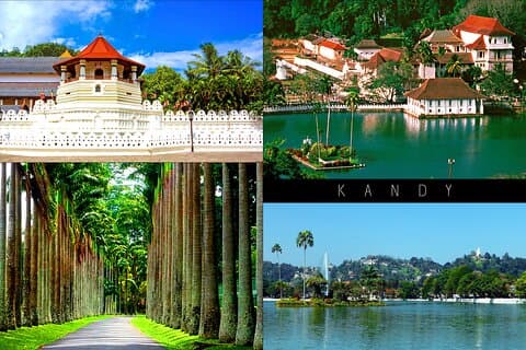 Half-Day Kandy City Tour by Tuk Tuk