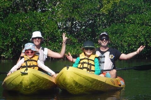 Geführte Kajak Delfin Eco Tour in Pelican Bay